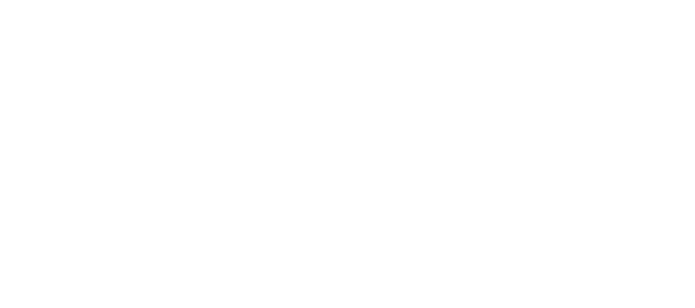 Den Bosch City